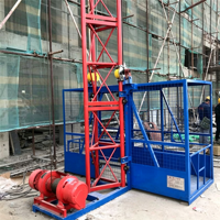 Palans de levage de type SS pour la construction, élévateur de matériaux de construction