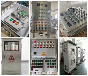 OEM ODM IP55/IP56/IP66 Explosions geschützte Schalttafel schränke Öl-/Gasindustrie Ex-Proof-Strom verteilungs geräte - Product Image 6