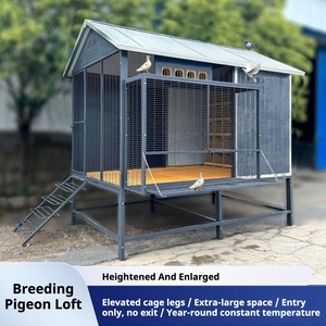 Buiten geïsoleerde, hittebestendige, anti-schok duivenhok, grote ren- en kweekduivenkooi, meerdere maten - Product Image 1