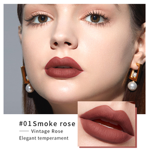 <span class=keywords><strong>Gloss</strong></span> à lèvres mat Non-collant, doux, série vernis à lèvres, brume multi-pigments OEM, ml - Product Image 4