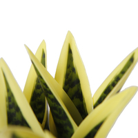 Fausses plantes de bonsaï jaunes de haute qualité, lot de 10, 14CM, serpent artificiel, pour l'intérieur