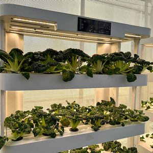 Système d'éclairage hydroponique intérieur chaud avec composants de noyau de pompe pour équipement d'irrigation et de culture hydroponique en intérieur - Product Image 5