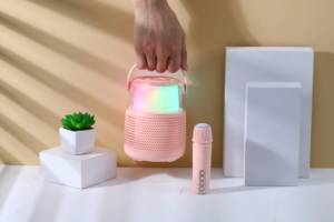 Led Xách Tay PA Hệ Thống Loa Chuyên Nghiệp Mini Máy Tính Xách Tay Loa Âm Thanh <span class=keywords><strong>Box</strong></span> Với Microphone Loa Phụ Kiện - Product Image 5