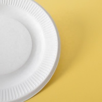 Échantillon gratuit, vaisselle en bagasse écologique, très vendue, assiettes jetables en canne à sucre blanches, plats de traiteur, biodégradables
