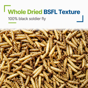 Larvas de Mosca Soldado Negra con Alto Contenido de Proteínas para Alimento de Pollos y Mascotas - Product Image 4