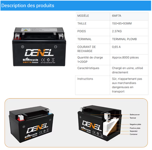 <span class=keywords><strong>Quad</strong></span> ATV DENEL 6MF7A à transmission automatique, 4x2, 250cc, 4 temps, essence/diesel, équipé d'un blocage de différentiel - Product Image 5