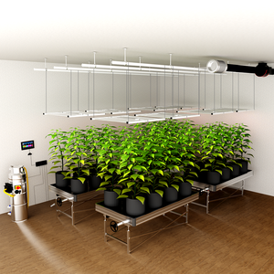 Lampe de culture LED pliable à spectre complet B-720W LM281B 6 barres 2,55 µmol/<span class=keywords><strong>J</strong></span>, indice de protection IP54, garantie 3 ans pour les puces, pour étagère de culture - Product Image 6