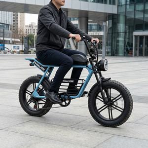 Urban Premium Vintage Fatbike E-Bike mit LCD-Display, City-Elektrofahrrad für Messezentren und Anfahrtsplassen - Product Image 4