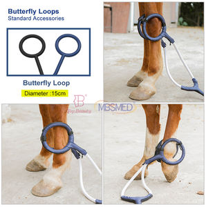 Thérapie magnétique par impulsions Hippodrome Premier choix Physiothérapie Pemf Cheval Réhabilitation physique <span class=keywords><strong>Magnétothérapie</strong></span> Machine - Product Image 4