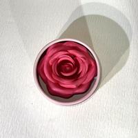 Belle Nature Finish Crème Vegan Poudre Pressée Blush Palette Personnalisable Forme Florale Foire Haute ODM Maquillage Visage