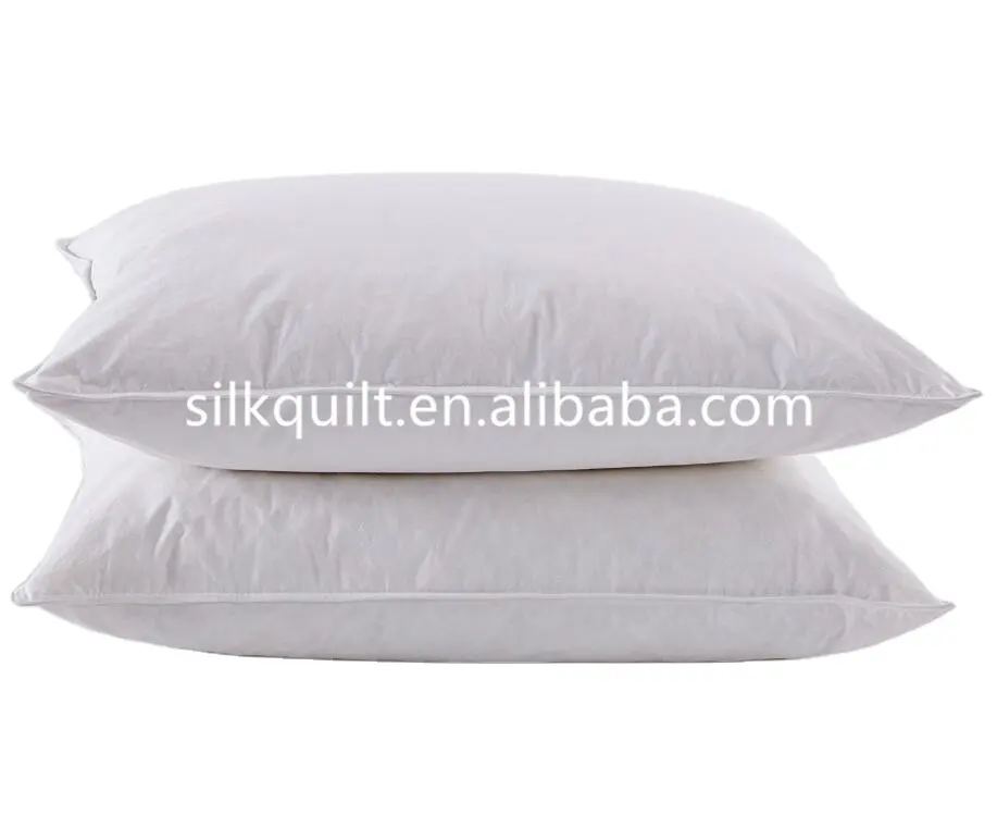 Wholesale Customized China 100% Pure Silk filled Pillow