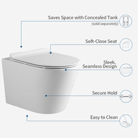 Articles sanitaires européens de haute qualité porcelaine blanche mate WC suspendu cuvette de toilette salle de bain toilettes suspendues ensemble de toilette salle de bain