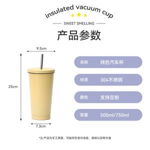 304 Stainless Steel Vacuum Cup 500ml/750ml Insulated With Straw For Car And Home Use - Product Image 1