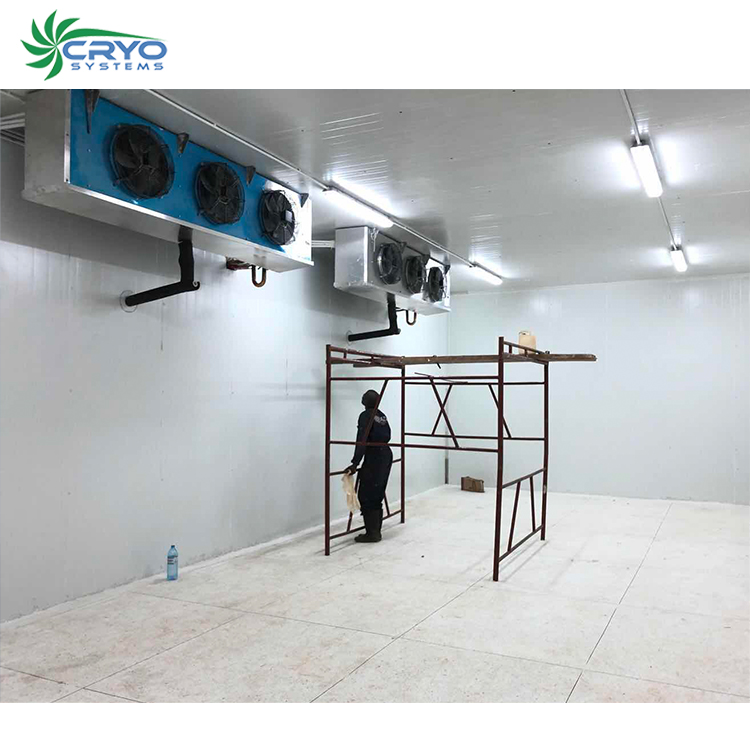 Глубокая морозильная камера из говядины, холодильная камера для морской рыбы, холодильная камера для хранения рыбы, холодильная камера