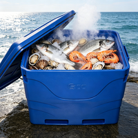 Boîte isotherme pour poisson et conteneur de transport de poisson en plastique isolé de la marque China SCC