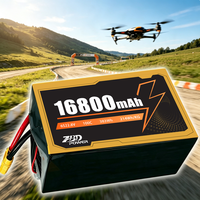 OEM/ODM 16800mAh 6S 22.8V Lityum Drone Pili 10 İnç 12 İnç FPV UAV RC Araba RC Oyuncak Fabrika Teslimatı