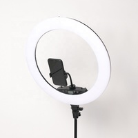 Cincin Lampu Tiktok RGB LED Awet Penjualan Terbaik Grosir Lampu Cincin 19 Inci