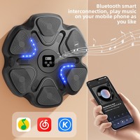 Machine d'entraînement de boxe murale intelligente transfrontalière WY-9621 pour adultes, avec fonction de musique et sac de frappe ABS, modèle tendance