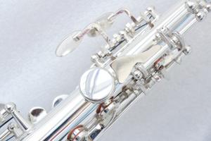Haut de gamme Performance professionnelle Saxophone <span class=keywords><strong>Sopranino</strong></span> plaqué argent Saxophone <span class=keywords><strong>Sopranino</strong></span> Eb Tone Saxophone <span class=keywords><strong>Sopranino</strong></span> - Product Image 3