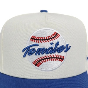 Gorra de Béisbol Personalizada de 5 Paneles, Impermeable, con Bordado de Frutas, Premium, 58cm, de Algodón Suave, Deportiva, Formal - Product Image 6