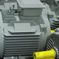 Moteur à induction à cage d'écureuil 160 kW 4 pôles 1400 tr/min Moteur électrique triphasé