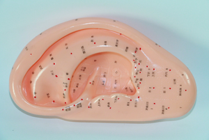 Modelo de Acupuntura de Oído, Modelo de Puntos de Acupuntura Chinos, Oído de 22 cm con Puntos de Acupuntura, Modelo de Enseñanza de Medicina - Product Image 2
