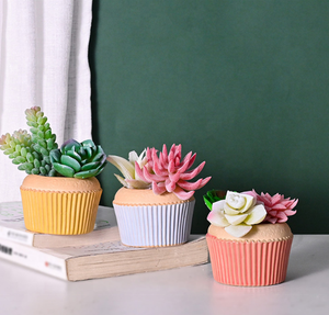 Maceta de Cerámica Esmaltada de Dos Tonos, Estilo Vintage, para Suculentas, con Orificio de Drenaje, Diseño de Cupcake, para Hogar y Jardín - Product Image 1