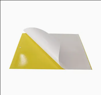 Piège à insectes collant double face bicolore jaune et bleu pour la lutte antiparasitaire des serres et des arbres fruitiers