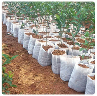Vente en gros de sacs de pépinière de plantes noix Pots de culture de plantes non tissés Sacs de graines de plantes de semis biodégradables