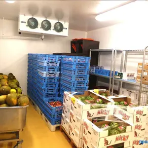 Arteco, яблоко, фрукты, Польша, картофель, свежее холодное хранение, холодное хранение, дизайн склада
