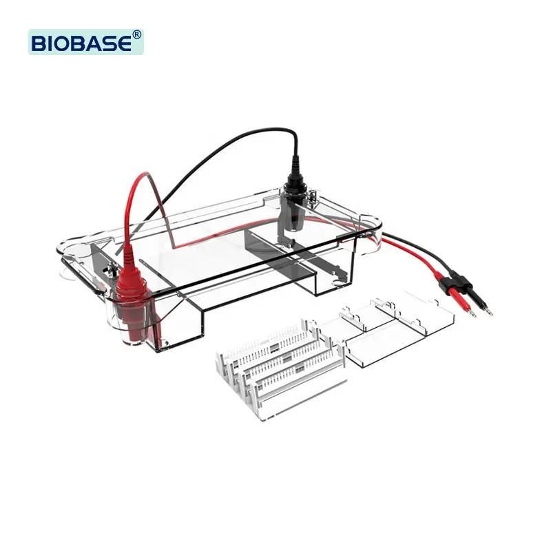 خزان BIOBASE للكشف عن البشرة عبر التناضح الكهربائي خزان تحديد البشرة الجزيئي للبشرة مزود بآلية الكشف عن الحمض النووي خزان تحديد كهربائي مزود بجل