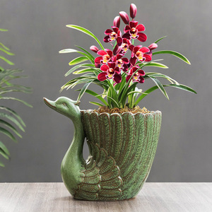 19A19 Мультяшные животные, лебеди, мясистые зеленые цветочные горшки, зеленые глазированные Керамические домашние декоративные цветочные горшки. - Product Image 4