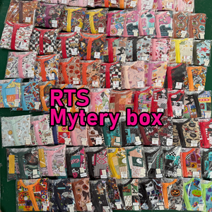 Pronta Consegna: Mystery Box di Abbigliamento per Neonati e Bambini in Bambù - Set Pigiama con Stampe Assortite - Scatola a Sorpresa di Abbigliamento per Neonati e Bambini Piccoli - Ingrosso - Product Image 1