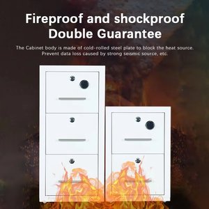 Fire&Water Resistant Filing Cabinet with Digital Lock <b>Secure</b> Document Safe Factory Custom Storage Cabinet for Documents Durable - Product Image 2