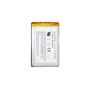 מבצע הנחה חם MCXL-XWHM-Y-CN BW XL גלאי גז רב-גזי H2S/CO גלאי דליפות גז אלקטרוני הגנה IP67 אחריות לשנה - Product Image 2