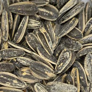 <strong>Sunflower</strong> <strong>Seeds</strong> with Shell Custom Logo Packaging and Flavor OEM ODM with Fast Delivery Roasted <strong>Sunflower</strong> Kernels - Product Image 3