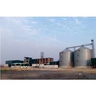 Silo per Cereali Verticale in Acciaio Inossidabile di Qualità Premium, Facile Manutenzione, Ideale per Stoccaggio Industriale, Disponibile per la Vendita