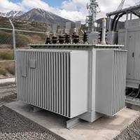 Transformateur de distribution triphasé immergé dans l'huile 11kV 33kV pour le projet de distribution d'énergie en Afrique