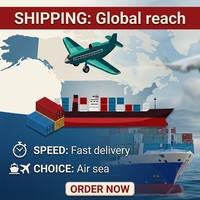 Expédition maritime de fret de la Chine vers les États-Unis, le Canada, la Belgique, l'Allemagne, l'Espagne, porte à porte, avec service d'entreposage, DDP