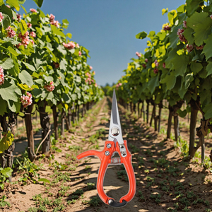 Cesoie da potatura per fiori da giardinaggio forbici da taglio per piante da interno forbici da uva - Product Image 3