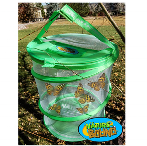 Kit de Hábitat para Cultivo de Mariposas YL - Con Cupón de Descuento para Canjear por Gusanos Vivos para Uso en el Hogar o la Escuela - Jaula Emergente <span class=keywords><strong>Verde</strong></span> - Product Image 5