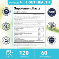 Complément Alimentaire Probiotique OEM ODM en Capsules de Zinc et Magnésium pour la Santé Intestinale et le Soutien des Enzymes Digestives, SANS GOMME