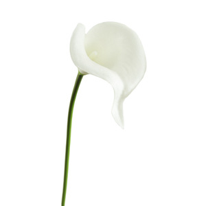 Yihua - Flor de Lirio de Cala Artificial, Tallo Único, Color Blanco, Flor de Seda para Decoración del Hogar, Decoración Interior de Lujo - Product Image 5