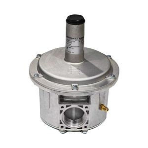 Regolatore di Gas a Azionamento Diretto FG1B15 FG1B20 FG1B25 FG1B32 per Caldaie e Bruciatori, Valvola di Riduzione e Stabilizzazione della Pressione - Product Image 2