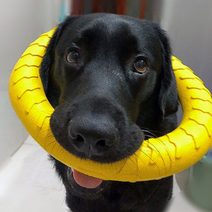 Jouets pour chiens en latex naturel écologique pour l'extérieur et l'intérieur, jouer à la soucoupe à disque volant, jouet interactif à mâcher pour chien - Product Image 4
