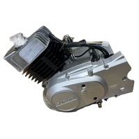 Kit moteur Lifan AX100 100cc personnalisé pour moto cross électrique et démarrage au kick, moteur 2 temps pour motos Triumph BMW