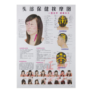 Human Meridian And Acupoint Wall Chart Set 7Pcs Plastic Bilingual Chinese English For Acupuncture Therapy - Product Image 3