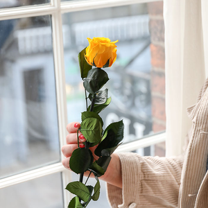 Rosas de tallo largo preservadas reales Eternity Infinity Forever Roses <span class=keywords><strong>Rosa</strong></span> <span class=keywords><strong>eterna</strong></span> de larga duración con tallo para decoración del hogar de bodas - Product Image 6