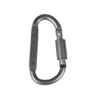 Mousqueton personnalisé en forme de D, Logo gravé au Laser, mousqueton de Camping, porte-clés, mousqueton en Aluminium, lien d'accessoire