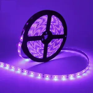 Paling Populer Tren Baru DC 5V 12V 24V SMD2835 SMD 5050 UV LED Strip 60D 120DPurple Violet Cahaya Strip Lembut untuk Pesta KTV Kamar